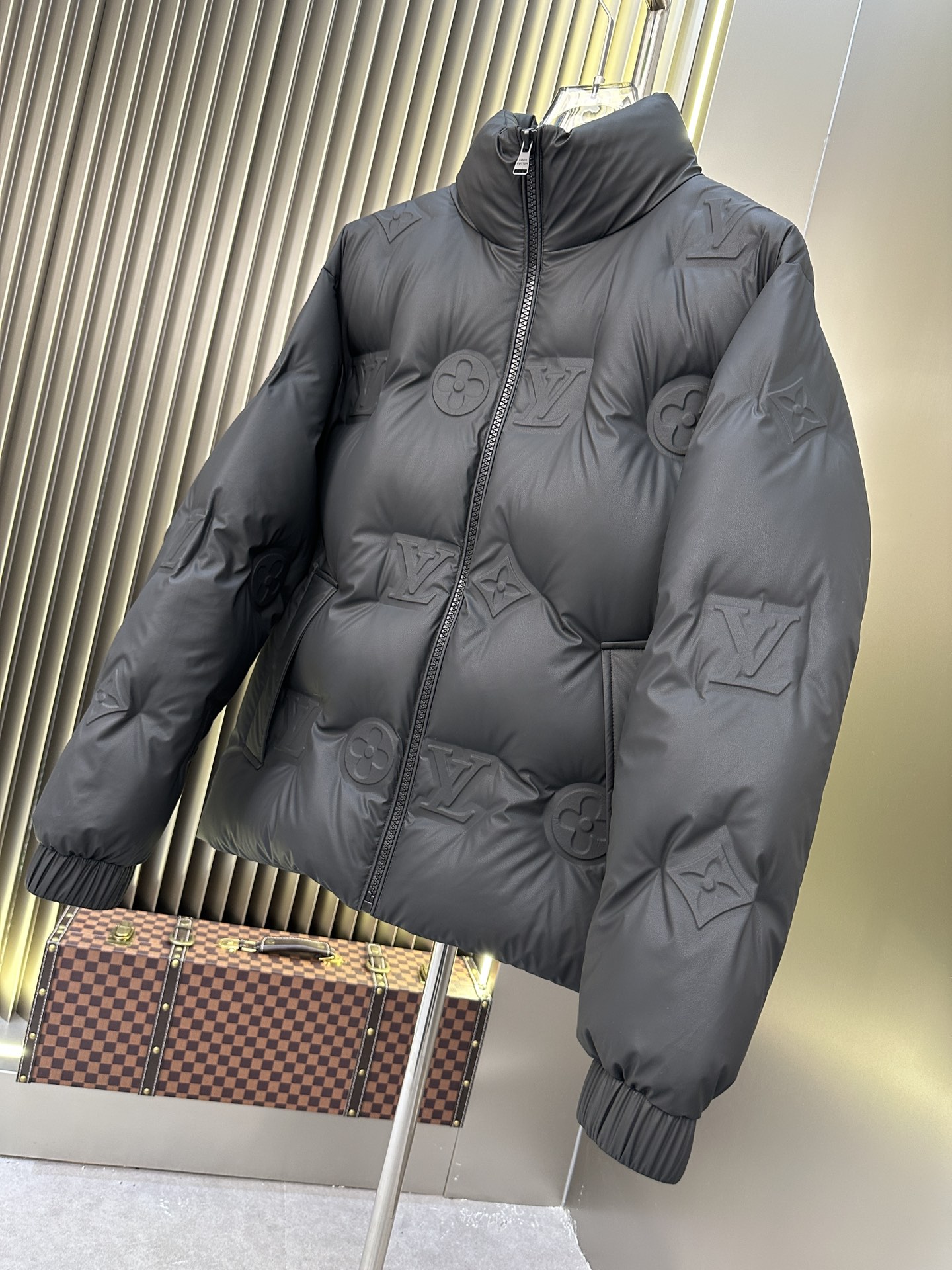 Louis Vuitton Down Jackets